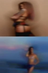 Squirting boars dick personal